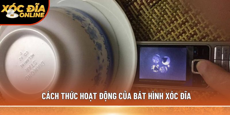 Cách thức hoạt động của bát hình xóc đĩa