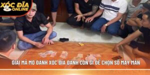 Mơ đánh xóc đĩa đánh con gì