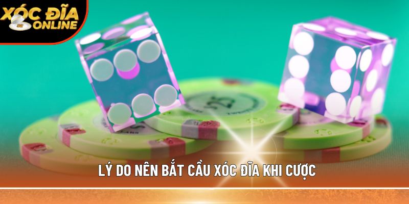 Lý do nên bắt cầu xóc đĩa khi cược