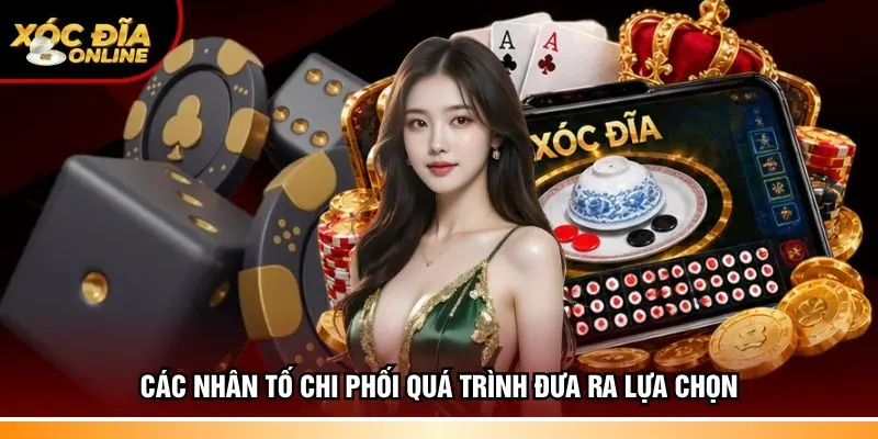 Các nhân tố chi phối quá trình đưa ra lựa chọn 