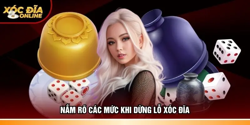 Nắm rõ các mức khi dừng lỗ xóc đĩa