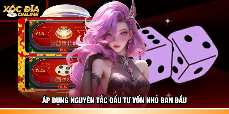 Áp dụng nguyên tắc đầu tư vốn nhỏ ban đầu